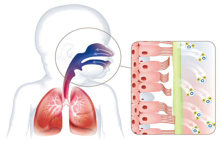 CPAP Nasal 0 - UcinMedica - Evolucionamos juntos por la salud